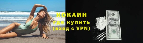 2c-b Пестово