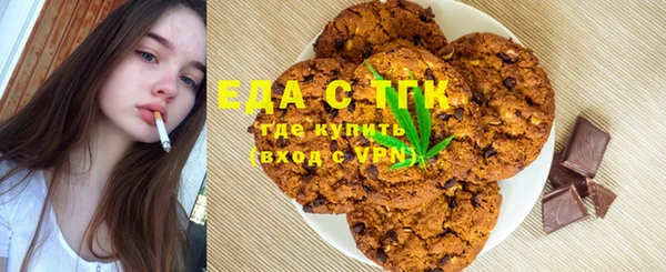 дживик Ельня