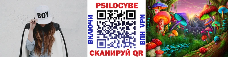 Псилоцибиновые грибы прущие грибы  hydra вход  Агидель 